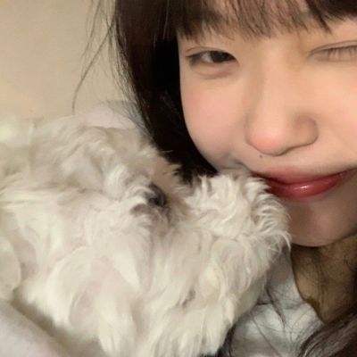 加拿大pc软件平台app下载截图